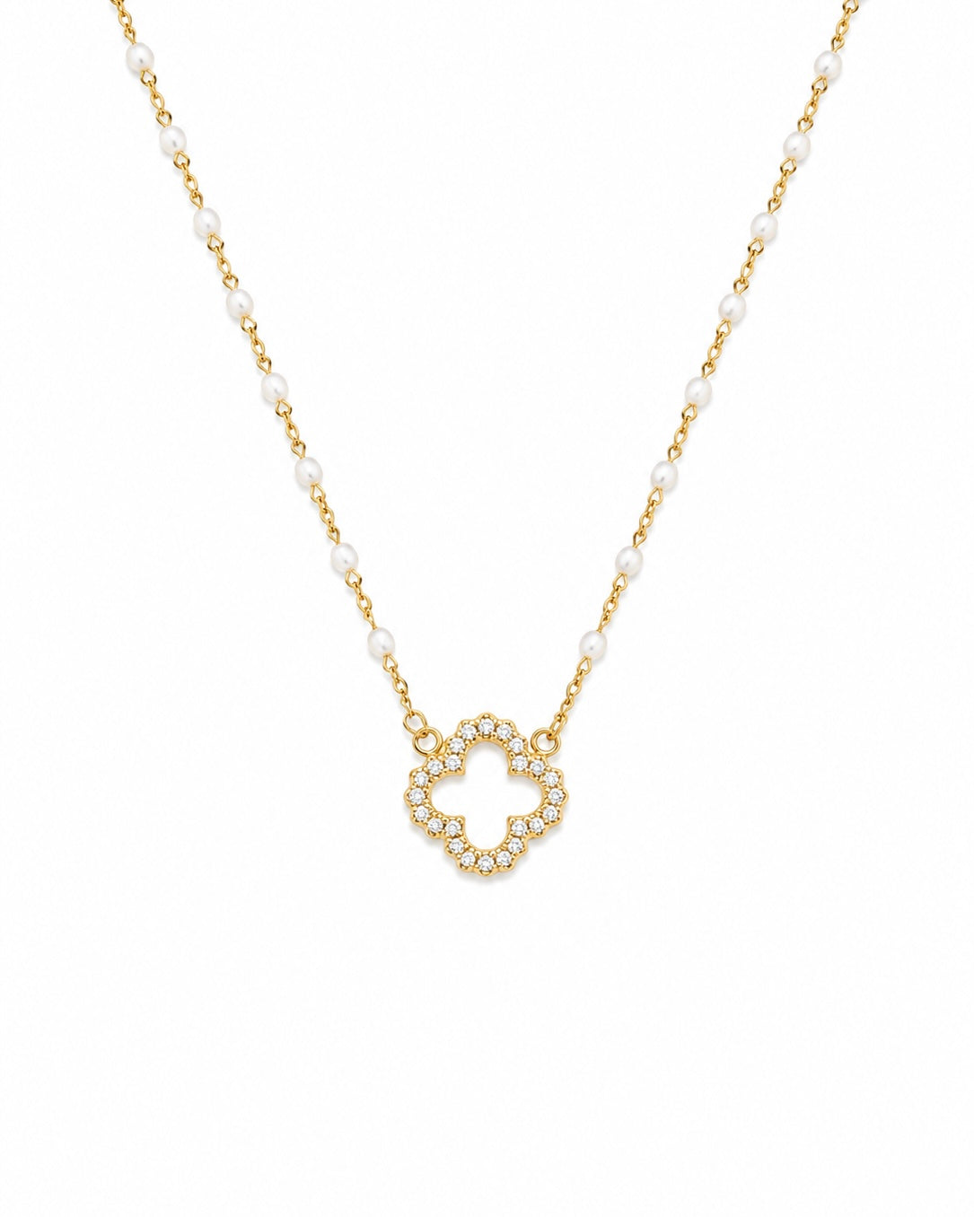 COLLIER SAVANNAH