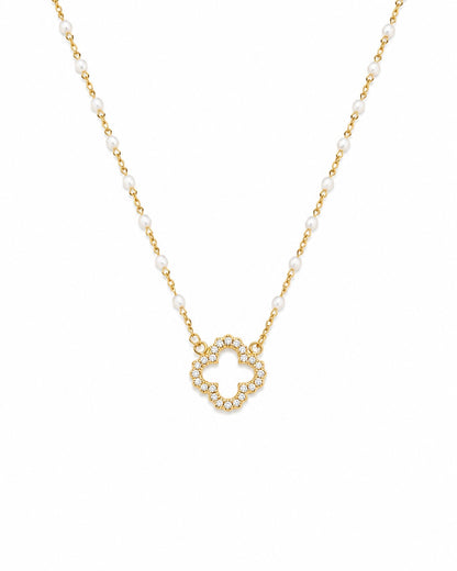 COLLIER SAVANNAH