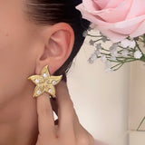 BOUCLES D’OREILLES ÉTOILE BRILLANTE