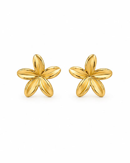 BOUCLES D’OREILLES FIDJI